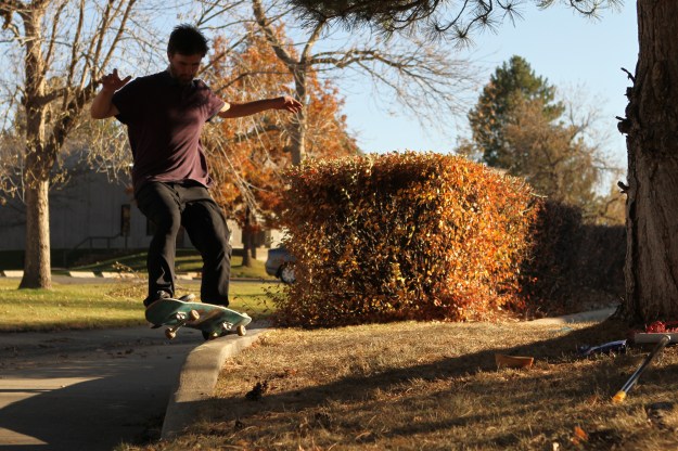 dave central 5-0.jpg